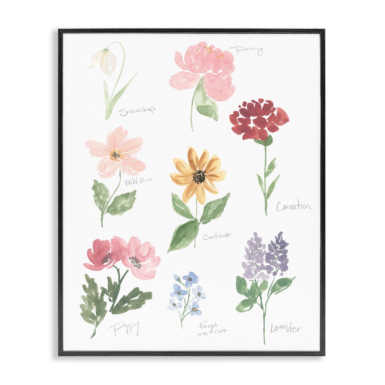 Stupell Industries Labeled Flower Varieties Framed Giclee, design by Lucille Price